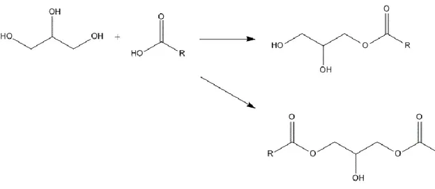Fig. 1.7. Schema di reazione per la sintesi di MGs e DAG 
