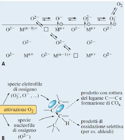 Fig.  1.12.  A,  meccanismo  schematico  di  incorporazione  di  ossigeno  in  catalizzatori  a  base  di  ossidi;  B,  schema  del  differente  tipo  di  attacco  sull’idrocarburo  da  parte  di  specie  nucleofile  ed  elettrofile  di  ossigeno 22 