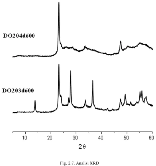 Fig. 2.7. Analisi XRD 