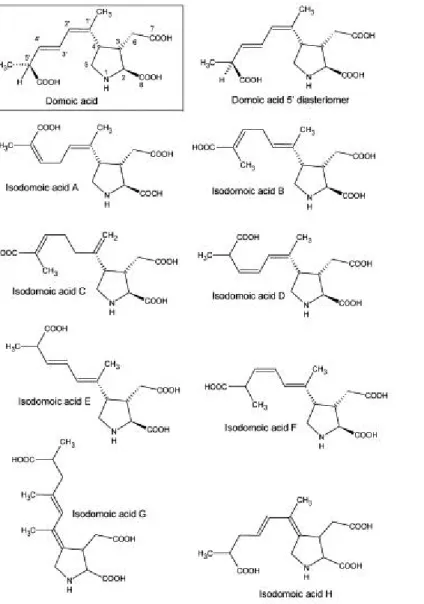 Fig. 4: strutture chimiche  dell'acido domoico, i suoi  isomeri A-H ed il suo 5'  diastereoisomero (Jeffery et 