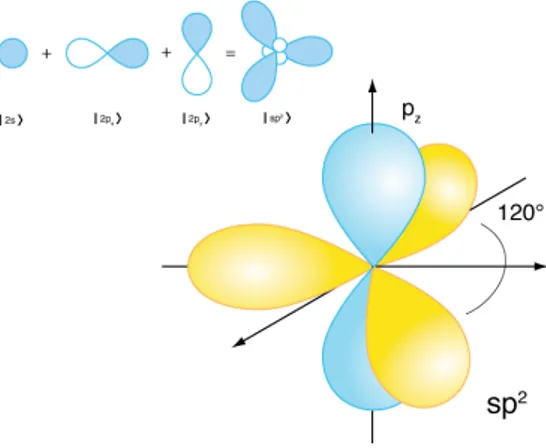 Figura 1.2: Rappresentazione grafica degli orbitali ibridizzati sp 2
