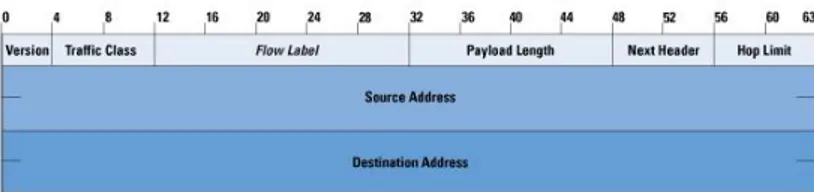 Figura 4.5: Formato del pacchetto IPv6.