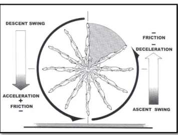 Figura  6  –  Grande  oscillazione  eseguita  allo  staggio  superiore  (&#34;Championship  Gymnastic,  biomechanical  techniques for shaping winners&#34; Gerald S