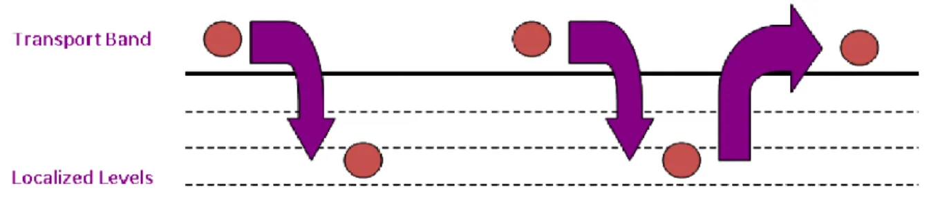 Figura 1.12    Schema di funzionamento del modello di trasporto di carica MTR. 