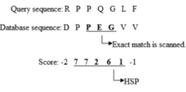 Figure 1.8: The process to extend the exact match. Figure from [18].