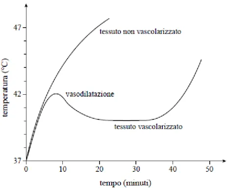 Figura 1.12_ Andamento della variazione di temperatura in vari tipi di tessuto biologico esposto a EMF