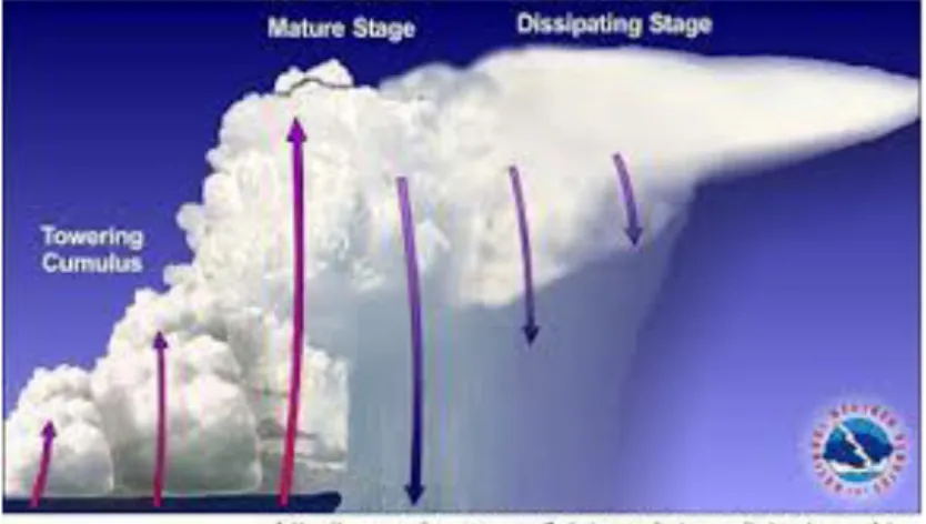 Figura  2.  Immagine  schematica  che  indica  i  tre  stadi  principali  della  vita  di  un  cumulonembo (fonte National Oceanic and Atmospheric Administration, NOAA)