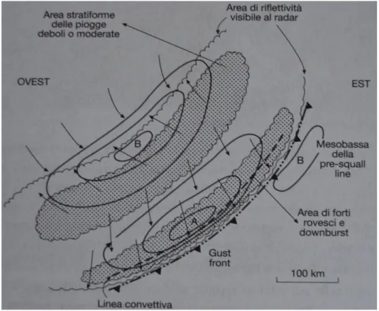Figura 10. Schema di una tipica squall line (cortesia di Formentini et al. 2009). 