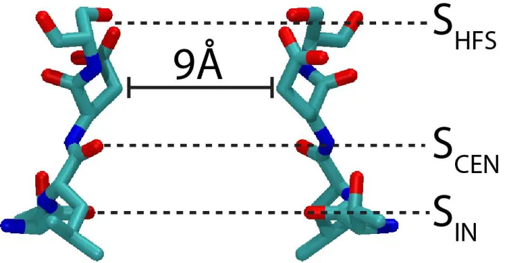 Figure 1-5: Structure of the selectivity filter of NavAb. Residues 175 to 178 (TLES) of two opposite subunits are shown in licorice representation