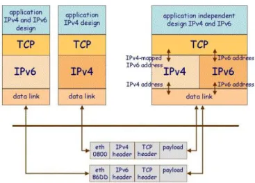 Figura 3.4: Applicazione indipendente dal protocollo su un host con doppio stack.