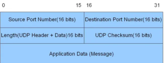Figura 3.6: Formato del pacchetto UDP.