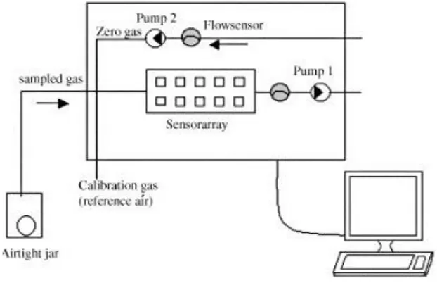 Figura 6.3 - Rappresentazione schematica del funzionamento del naso elettronico e il flusso di gas di PEN 2