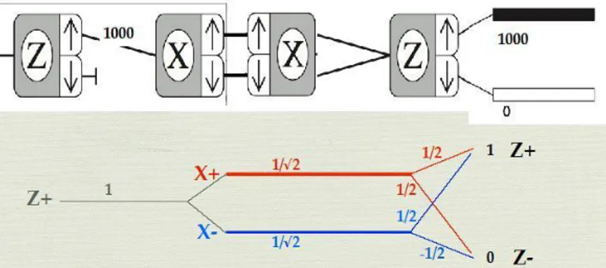 FIG. 2.13 – Composizione delle ampiezze di probabilità 