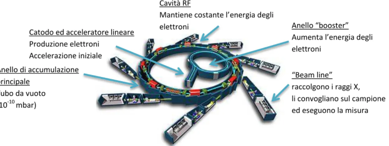 FIGURA 1. 1 :  ANELLO DI ACCUMULAZIONE ED ELEMENTI COSTRUTTIVI 