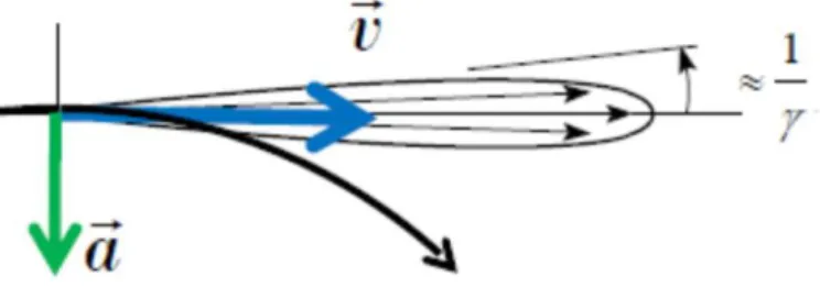 FIGURA 1. 4 : DISTRIBUZIONE ANGOLARE DELLA LUCE DI SINCROTRONE 