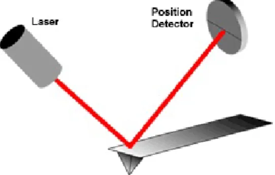 Figura 3.3: Il fascio laser viene indirizzato sull’estremit` a del cantilever e deflesso verso i fotodiodi.