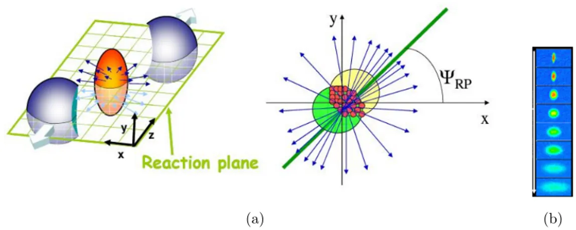 Figura 1.15: Rappresentazione schematica dell’urto fra due nucleoni; la regione di so- so-vrapposizione elissoidale da luogo a un flusso ellittico delle particelle prodotte