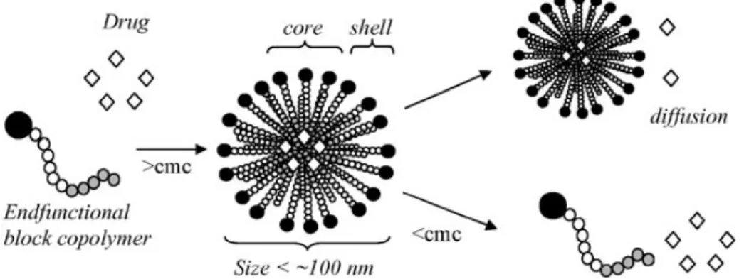 Figura 6: Auto aggregazione in micelle di copolimeri a blocchi funzionalizzati  