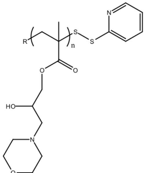 Figura 8: PHMPMA Poli (2-idrossi-3-morfolinopropil metacrilato) 