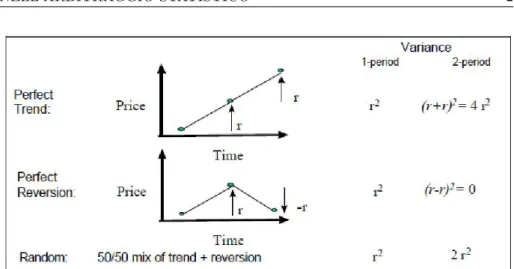 Figura 2.1: La relazione tra la varianza campionaria e il tempo per una serie storica di prezzi di titoli: nel caso limite in cui tutti i prezzi seguono un  anda-mento lineare, la varianza campionaria della serie crescer` a come una funzione quadratica del