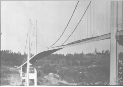 Figura 3.5: Ponte di Tacoma