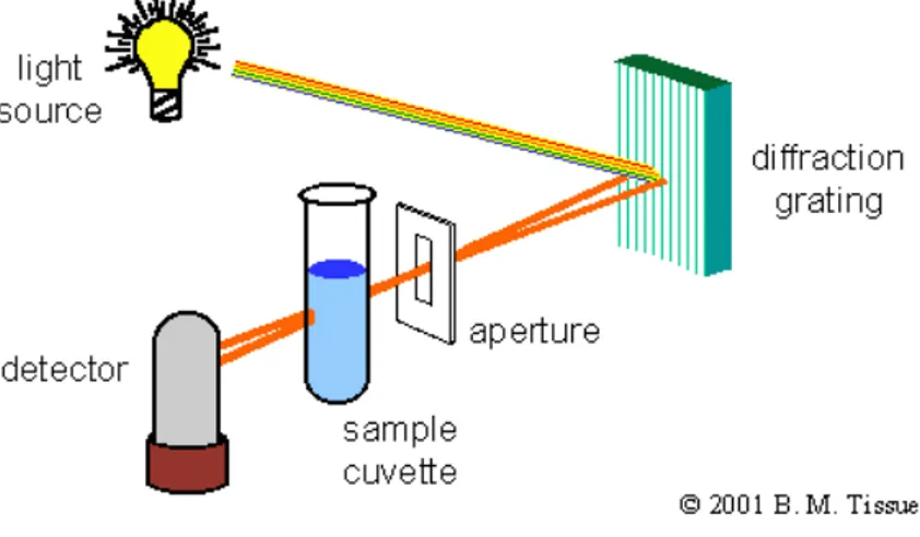 Figura 5. Schema di funzionamento di uno Spettrofotometro. 