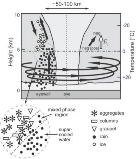 Figura 2.4. Rappresentazione dei processi di carica dei cristalli di ghiaccio e della loro  separazione all'interno dell'eyewall [Houze, 2010].