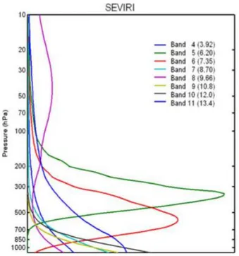 Figura  3.2.Funzioni  peso  dei  canali  SEVIRI  al  nadir  in  condizioni  di  atmosfera  standard