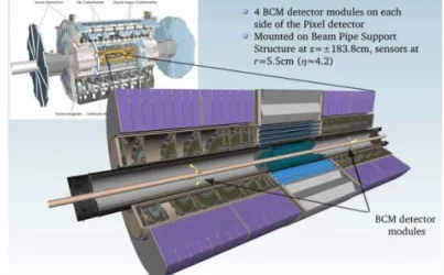 Figura 2.3: Il detector BCM