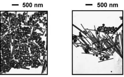 Figura 1.2. 6 - Campioni di Ag nanometrico sintetizzati nelle stesse condizioni ma su tempi       diversi,  riscaldamento microonde: (sinistra) 1,5 minuti, (destra) 3 minuti  [14]