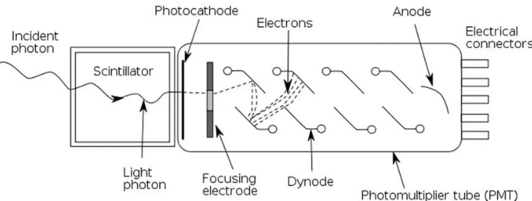 Fig. 1.1 Rappresentazione schematica del principio di funzionamento di un rivelatore a scintillazione 