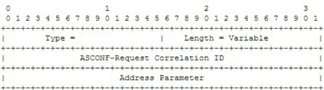 Figura 2.4, struttura di un chunk per modifiche degli indirizzi IP per un’associazione