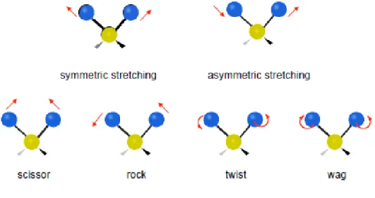 Figure 1.5. Vibrational modes of the molecule 