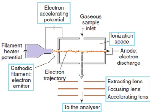 Figure 2.4.Electron ionization source 