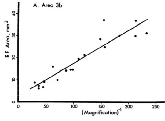 Figure 1. 12  RF Area (mm 2 ) as a function of the inverse of the Magnification.