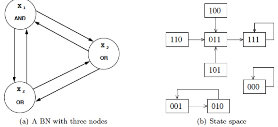 Figure 2.2: An example of a BN with three nodes (a) and its corre- corre-sponding state space under synchronous and deterministic update (b)