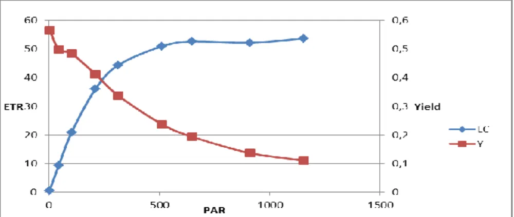 Fig. 25. Esempio di una light curve eseguita con fluorimetro PAM. 