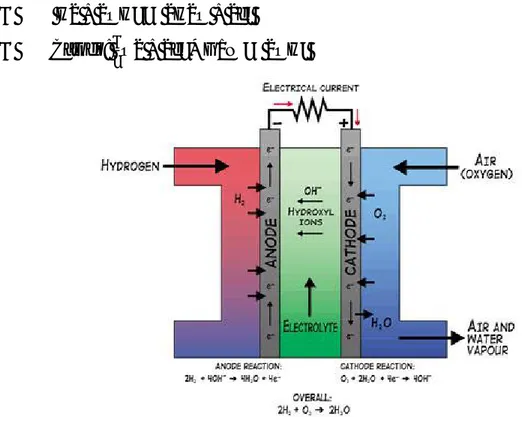 Figura 4: Schema di un’Alkaline Fuel Cell 