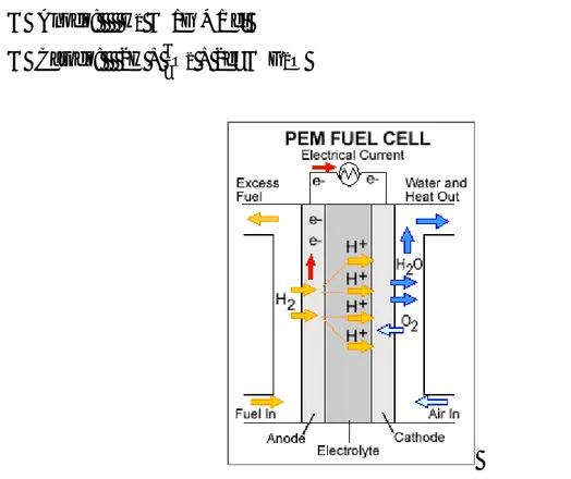Figura 5: Struttura di una Polimer Electrolyte Membrane Fuel Cell 