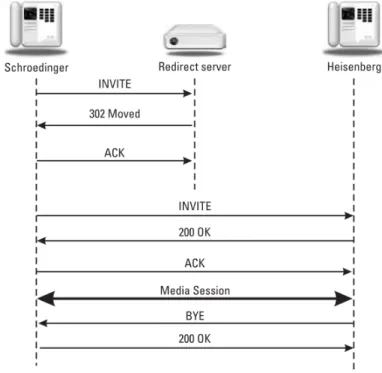 Figura 1.1: Redirect Server[26]
