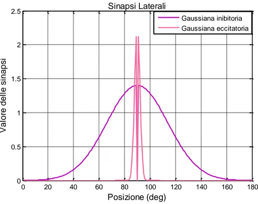 Figura 4.5. Gaussiane utilizzane nella costruzione della matrice delle sinapsi  laterali, in viola è rappresentato il contributo inibitorio mentre in rosa quello 