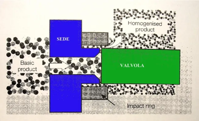 Figura  2.1:  Percorso  del  fluido  attraverso  una  semplice  valvola  omogeneizzante (Diels e Michielis, 2006)