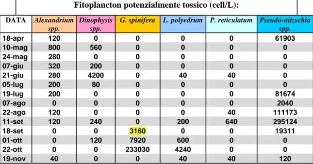 Tabella 2 Analisi del fitoplancton relativa al banco naturale “Diga Sud” (Ravenna). In giallo: aumento  della concentrazione G