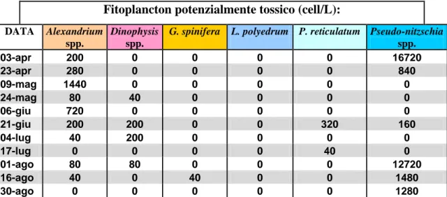 Tabella 6 Analisi del fitoplancton relativa all’allevamento “Pro. Mo. Ittica” (Cesenatico)