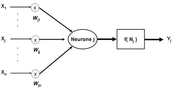 Figura 9. Schematizzazione di un neurone artificiale: l’ingresso del neurone  è  la  somma  di  ciascun  ingresso  Xi  (i=1,..,n)  moltiplicato  per  il  peso  della  sinapsi  Wji    relativo  all’  ingresso  Xi    e  al  j-esimo  neurone