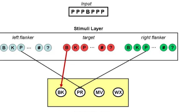 Figura  10.  Stimuli  Layer  (SL)  e  Response  Layer  (RL).  Considerando  lo  stimolo incongruente ‘PPPBPPP’ presentato in figura, si  attivano nello SL  tre neuroni: due corrispondenti al flanker - di cui uno nel gruppo a sinistra e  uno  in  quello  a 