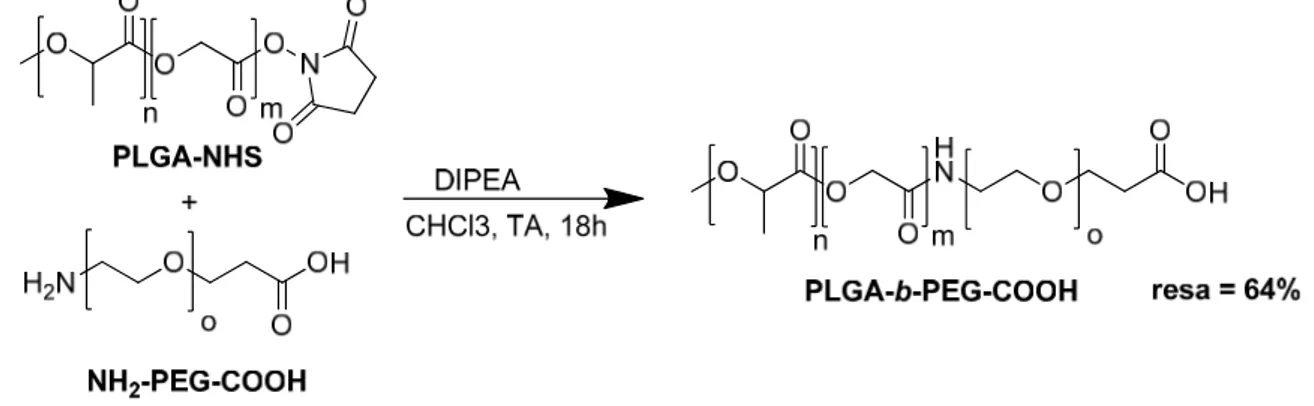 Figura 10 – Attivazione del PLGA-COOH 