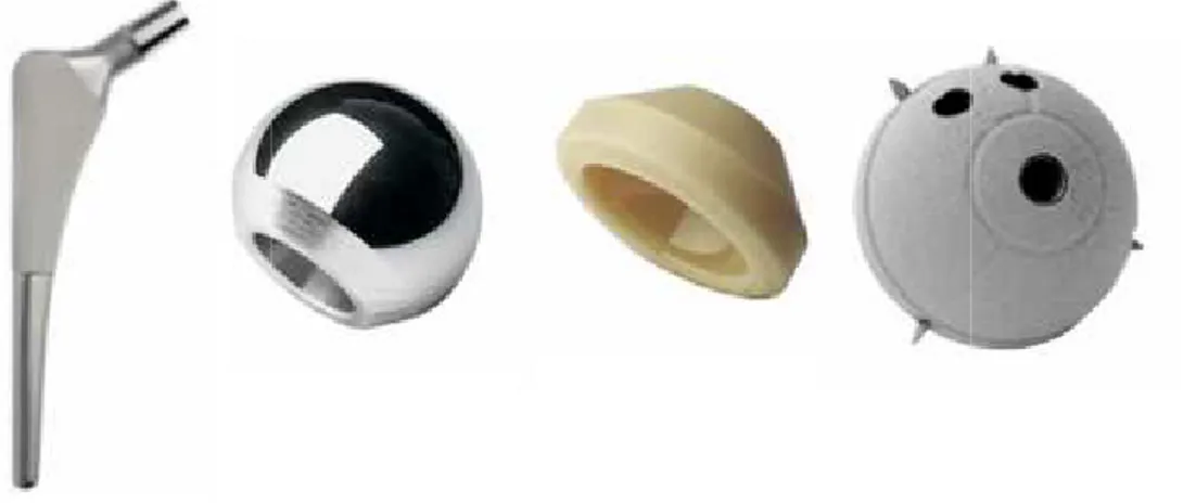 Figura  1.8:  Nell’immagine  sono  mostre  le  componenti  di  una  protesi  d'anca:  da  destra stelo monolitico, testa , inserto e coppa 