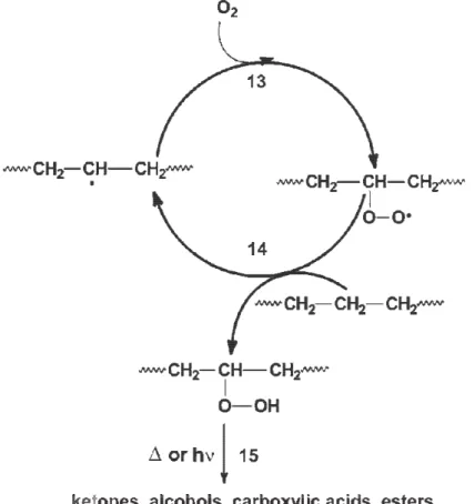 Figura 1.13: Ciclo di Bolland: schema d'ossidazione dei macro  radicali [28].