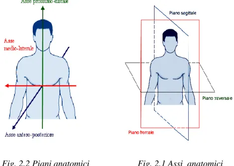 Fig. 2.2 Piani anatomici  Fig. 2.1 Assi  anatomici 